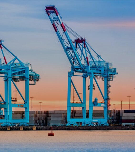 Sylann en clin d'oeil