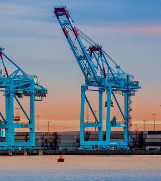 Sylann en clin d'oeil